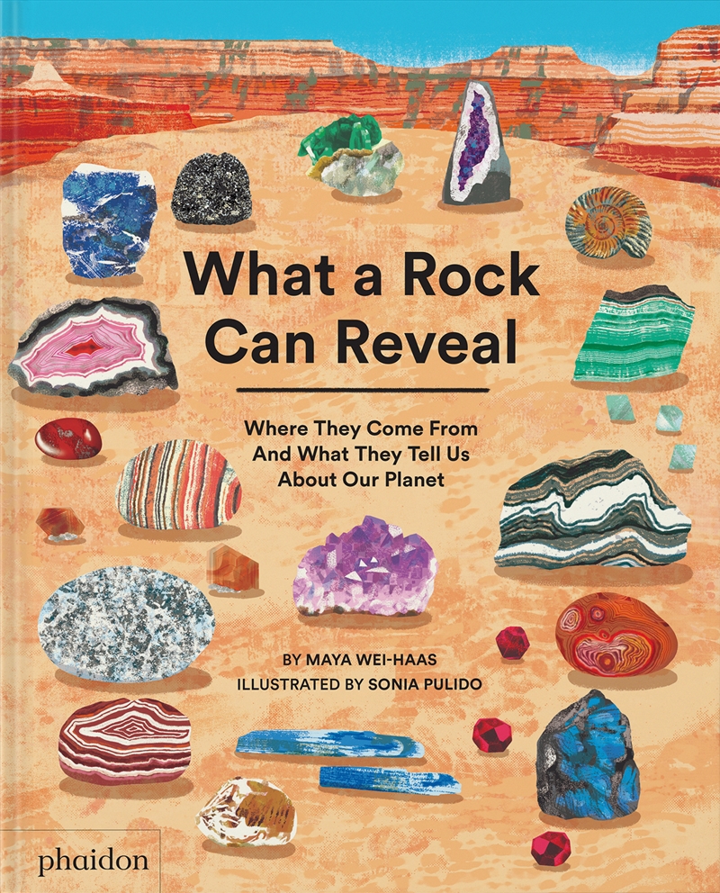 What A Rock Can Reveal/Product Detail/Childrens