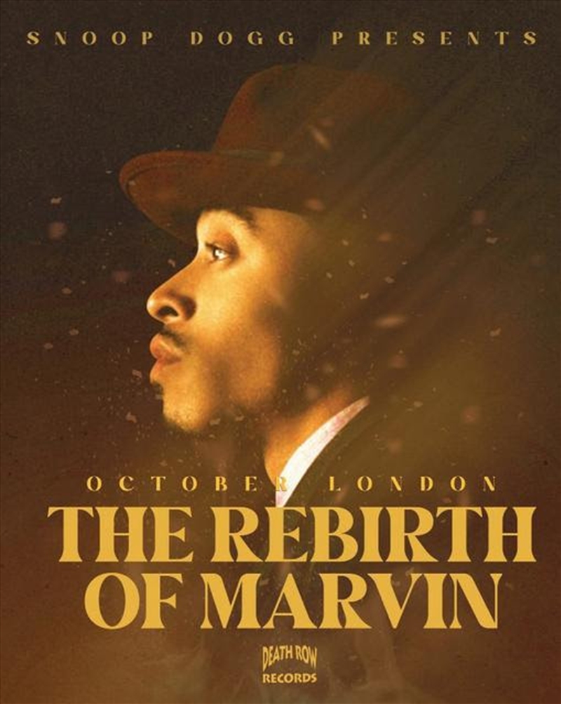 Rebirth Of Marvin/Product Detail/R&B