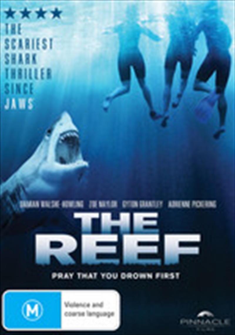 Reef/Product Detail/Thriller