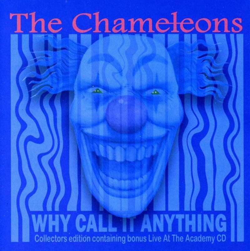 Why Call It Anything (Expanded Edition)/Product Detail/Rock