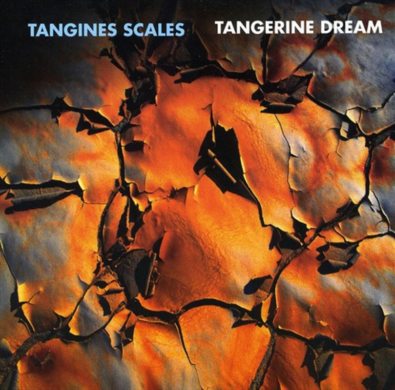 Tangines Scales/Product Detail/Rock