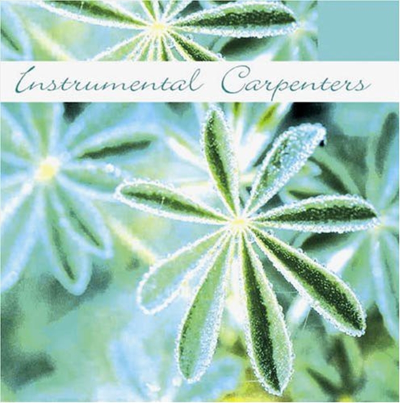 Instrumental Carpenters/Product Detail/Compilation