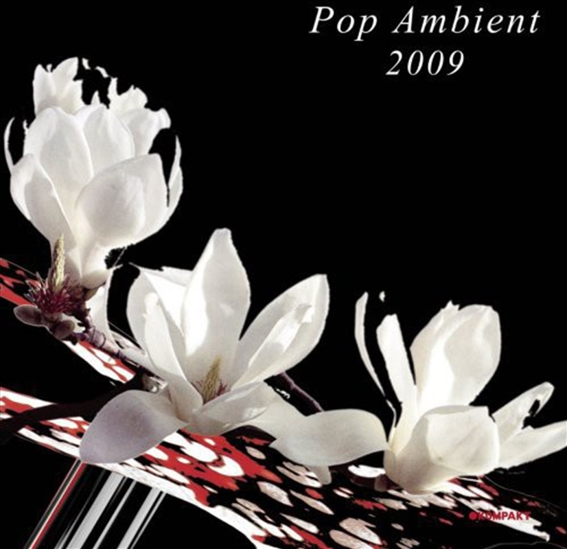 Pop Ambient 2009/Product Detail/Various