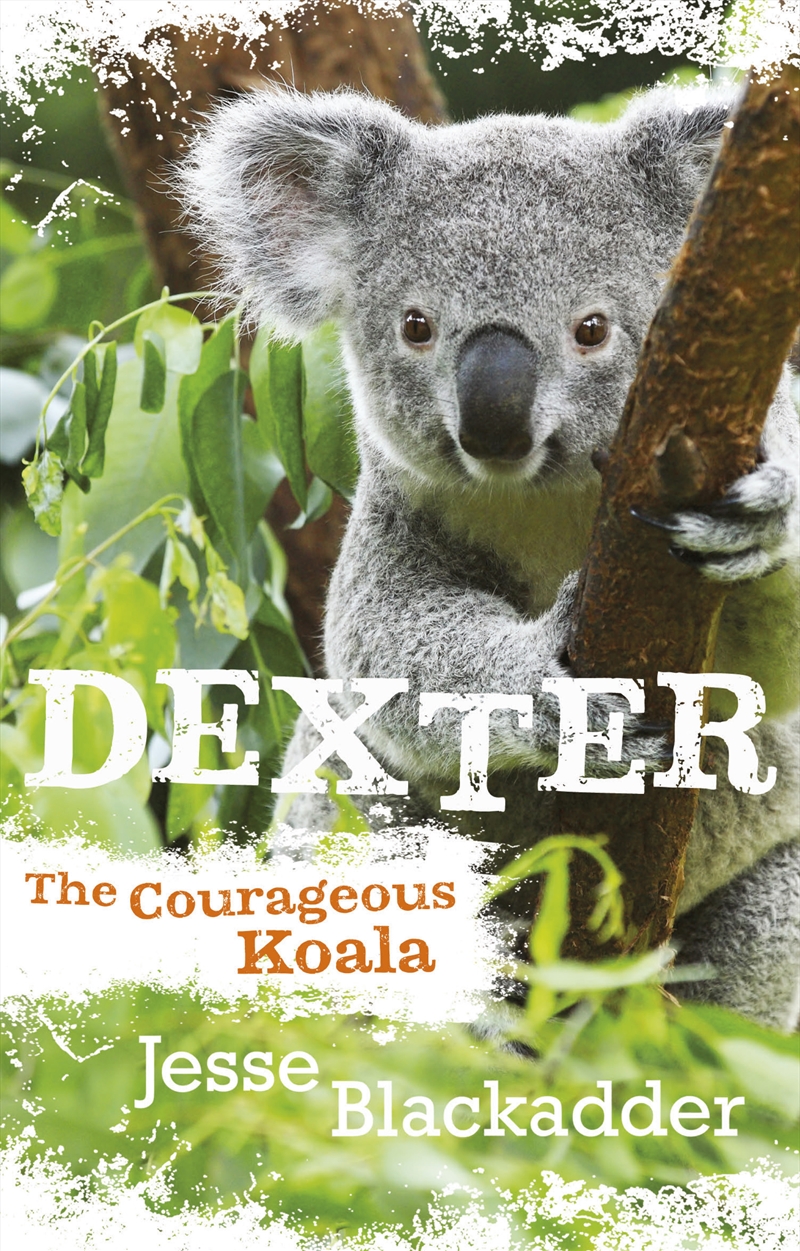 Dexter The Courageous Koala/Product Detail/Childrens Fiction Books