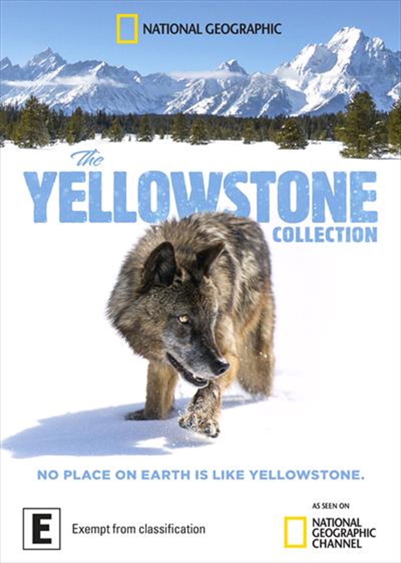 Yellowstone Collection, The/Product Detail/Documentary