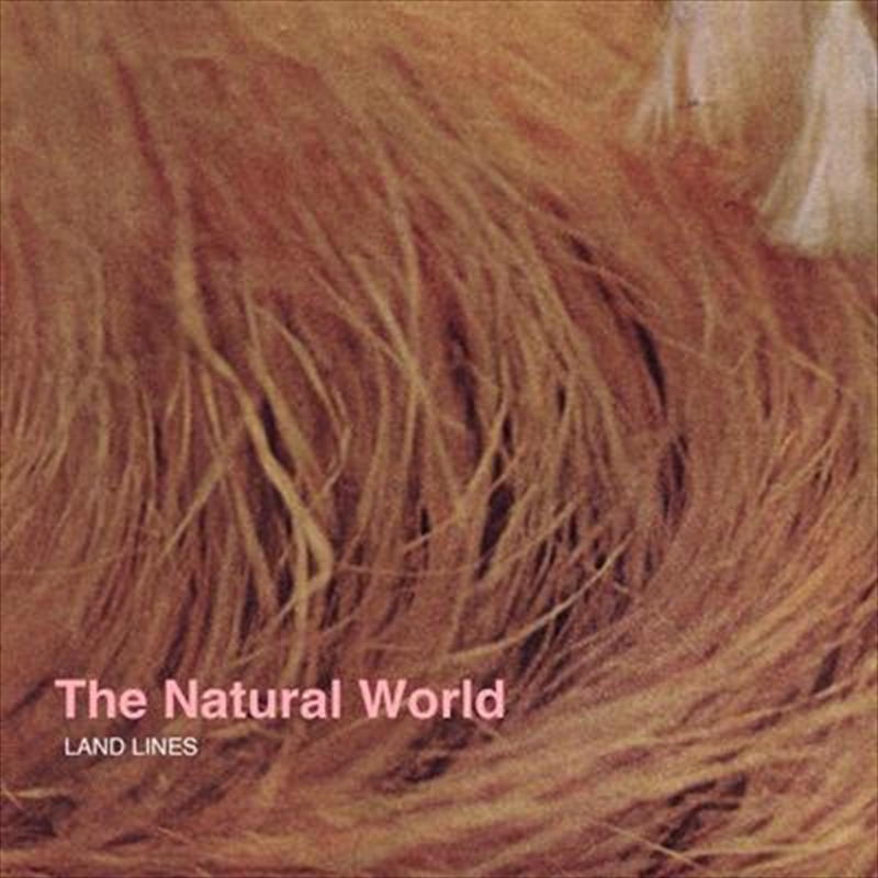 Natural World, The/Product Detail/Rock