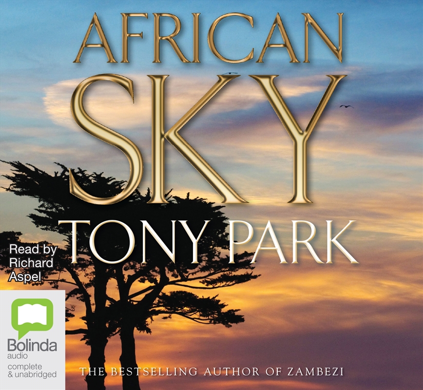 African Sky/Product Detail/General Fiction Books