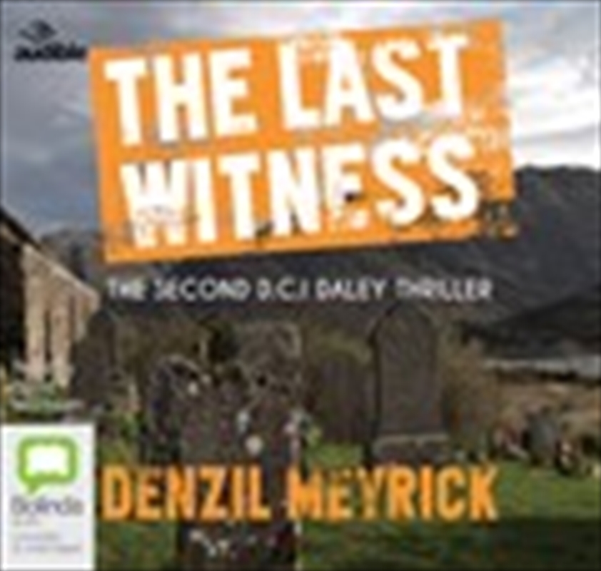 The Last Witness/Product Detail/Crime & Mystery Fiction