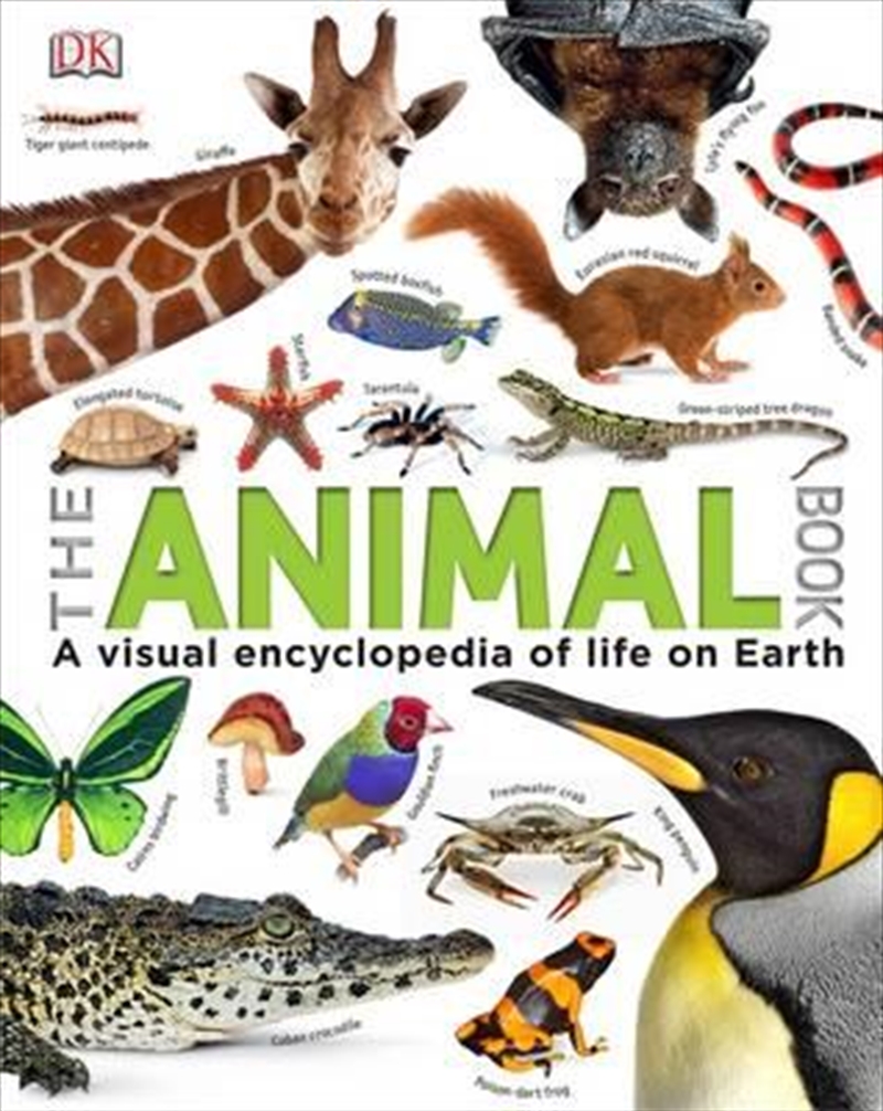 The Animal Book/Product Detail/Children