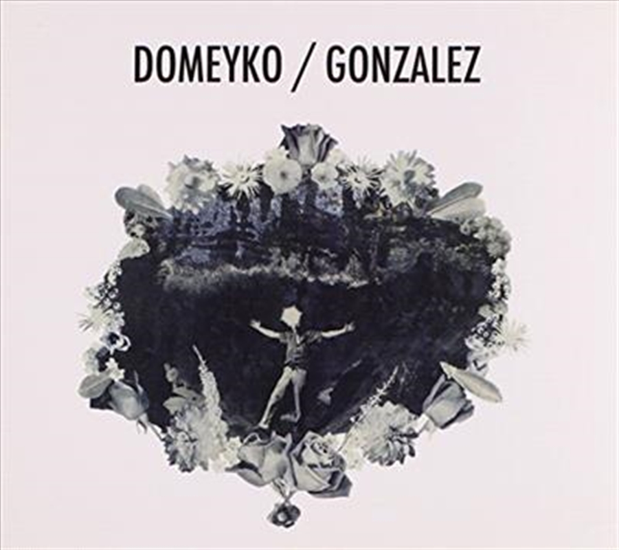 Domeyko/Gonzalez/Product Detail/Alternative