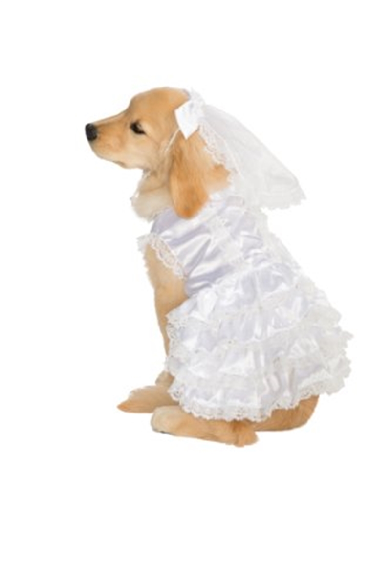 Bride M/Product Detail/Pet Accessories