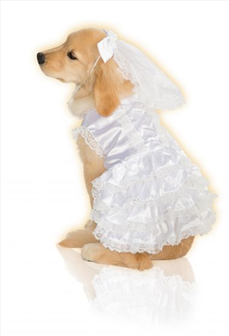 Bride S/Product Detail/Pet Accessories