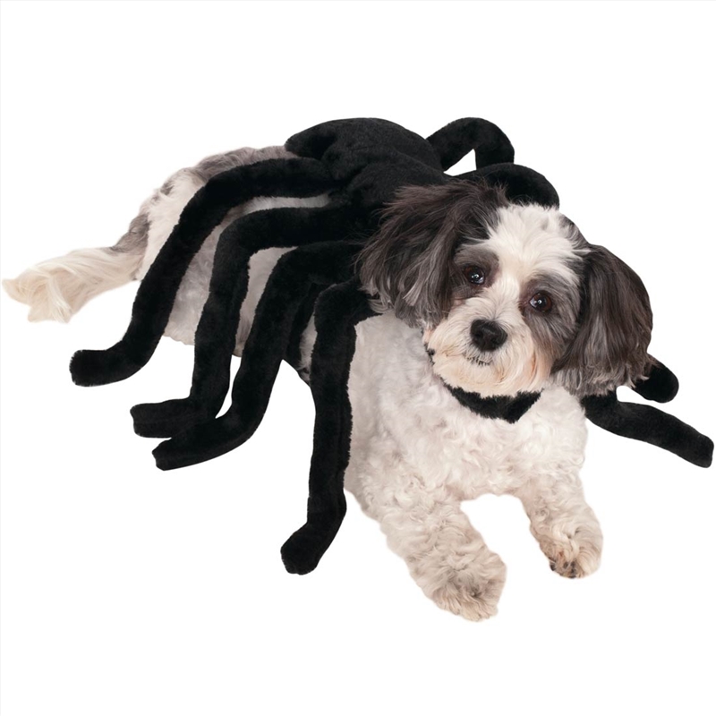 Spider Harness L/Product Detail/Pet Accessories