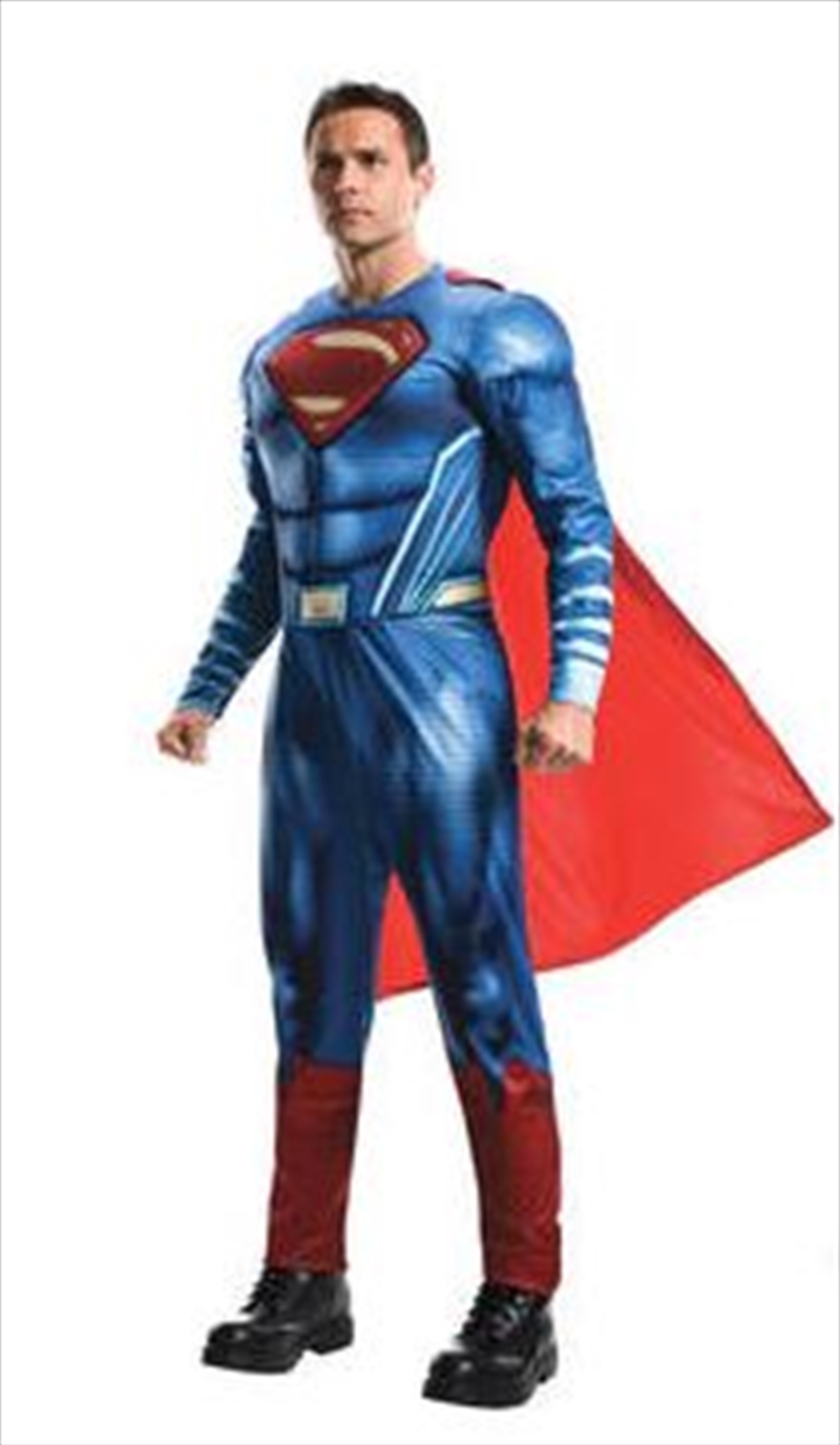 Superman Deluxe Muscle Chest Costume (Adult One Size)/Product Detail/Costumes