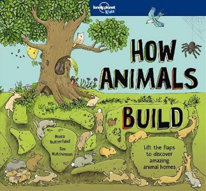 How Animals Build/Product Detail/Travel & Holidays