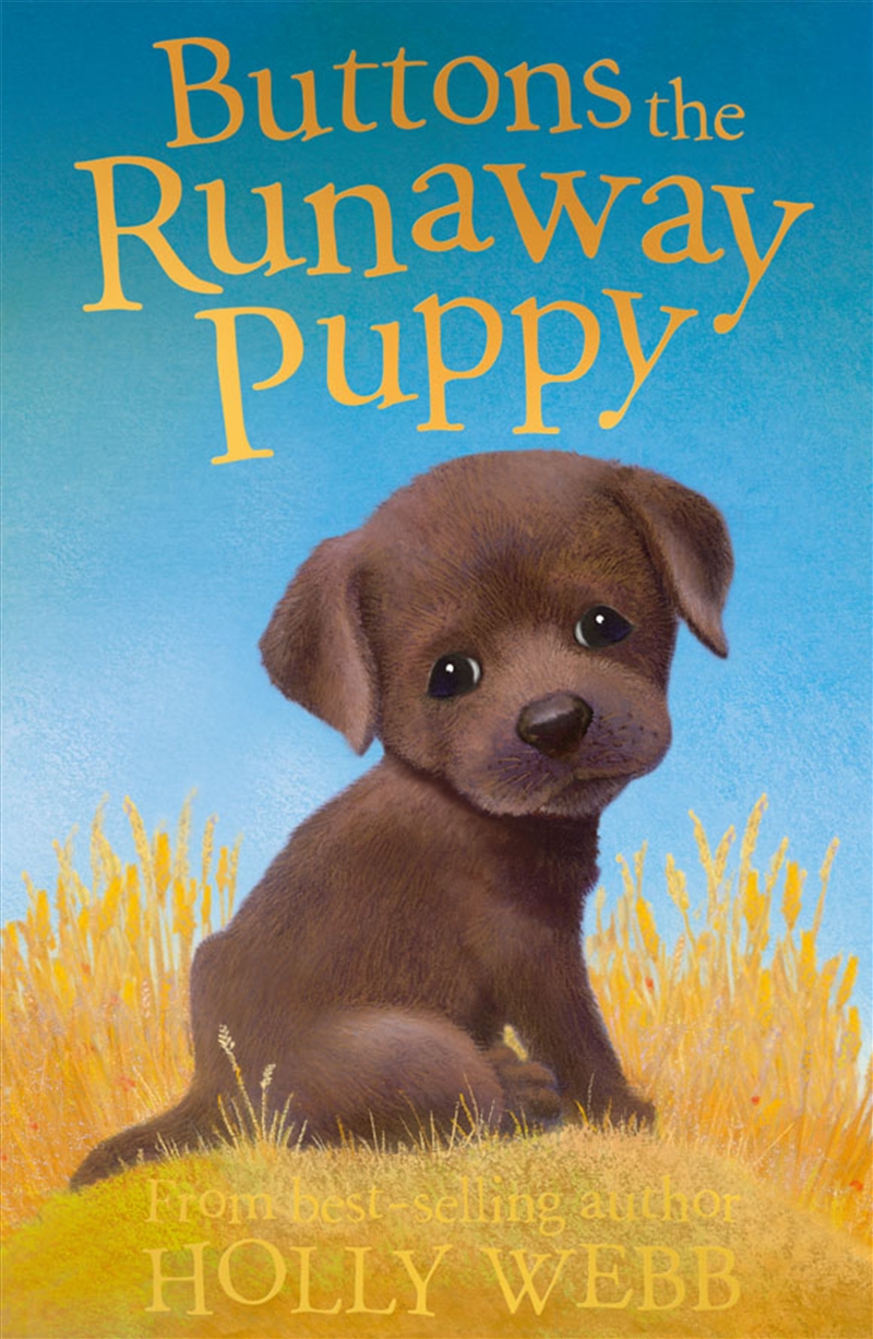 Buttons the Runaway Puppy/Product Detail/General Fiction Books