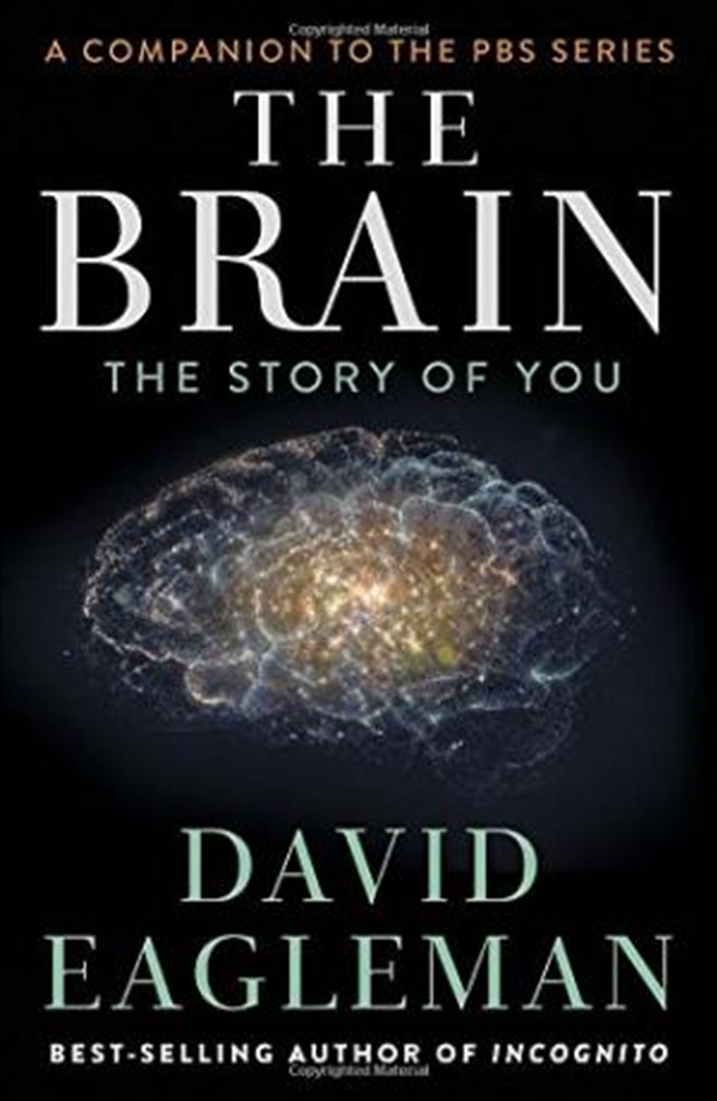 Brain: The Story Of You/Product Detail/Reading