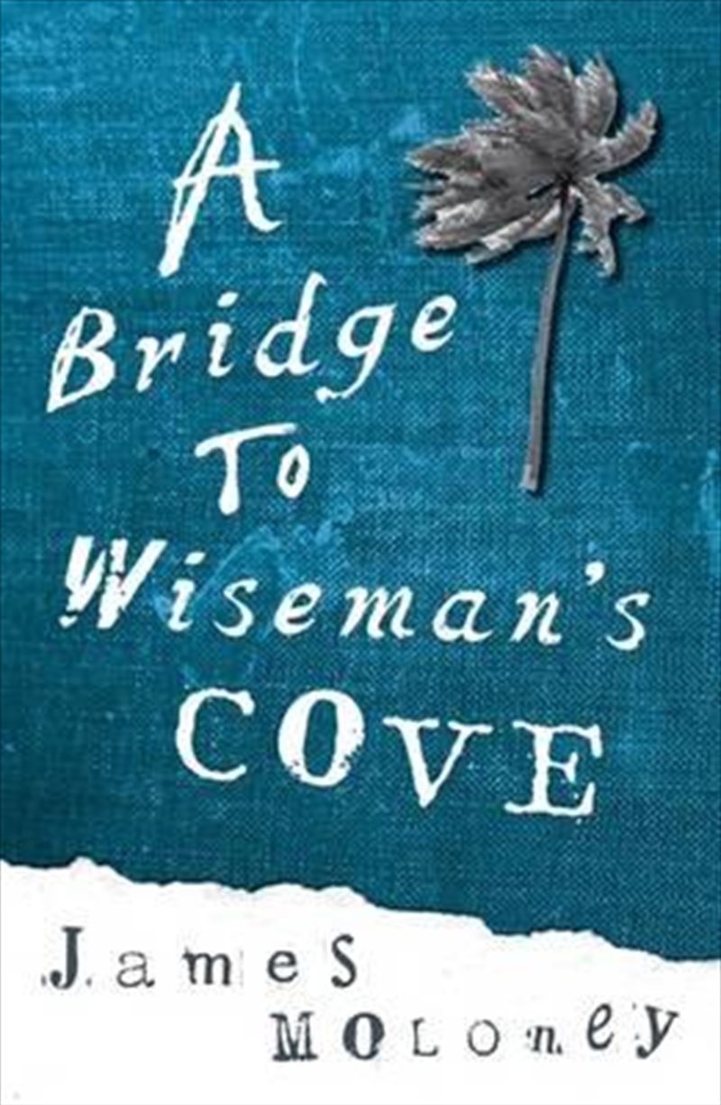 A Bridge to Wiseman's Cove/Product Detail/Childrens Fiction Books