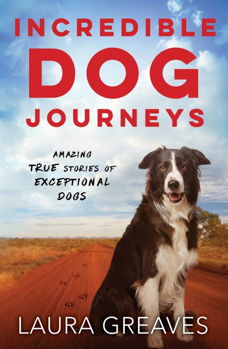 Incredible Dog Journeys/Product Detail/Reading