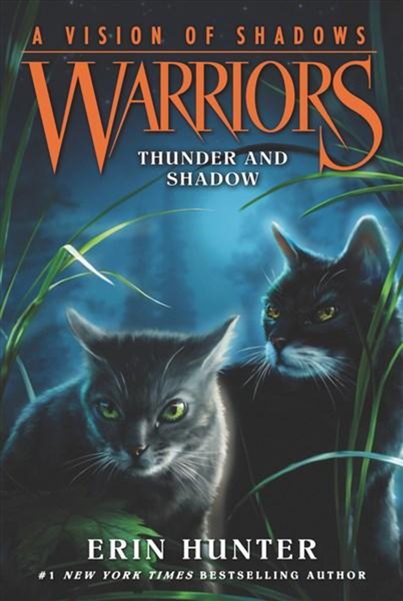 Warriors: A Vision of Shadows 2 - Thunder And Shadow/Product Detail/Childrens Fiction Books