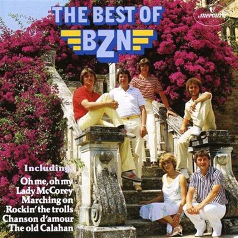 Best Of Bzn (de Hits In Beeld)/Product Detail/Rock/Pop