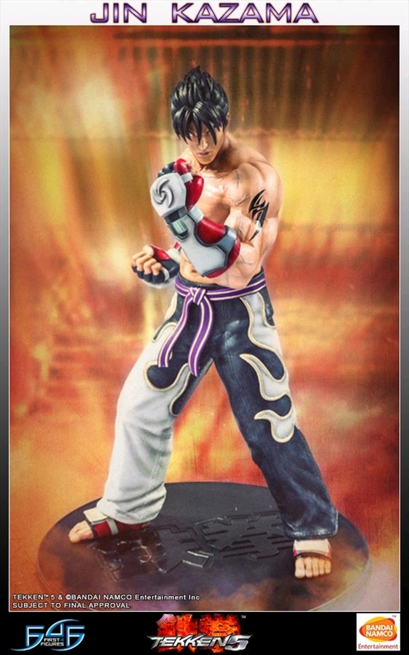 Tekken 5 - Jin Kazama 19" Statue/Product Detail/Statues