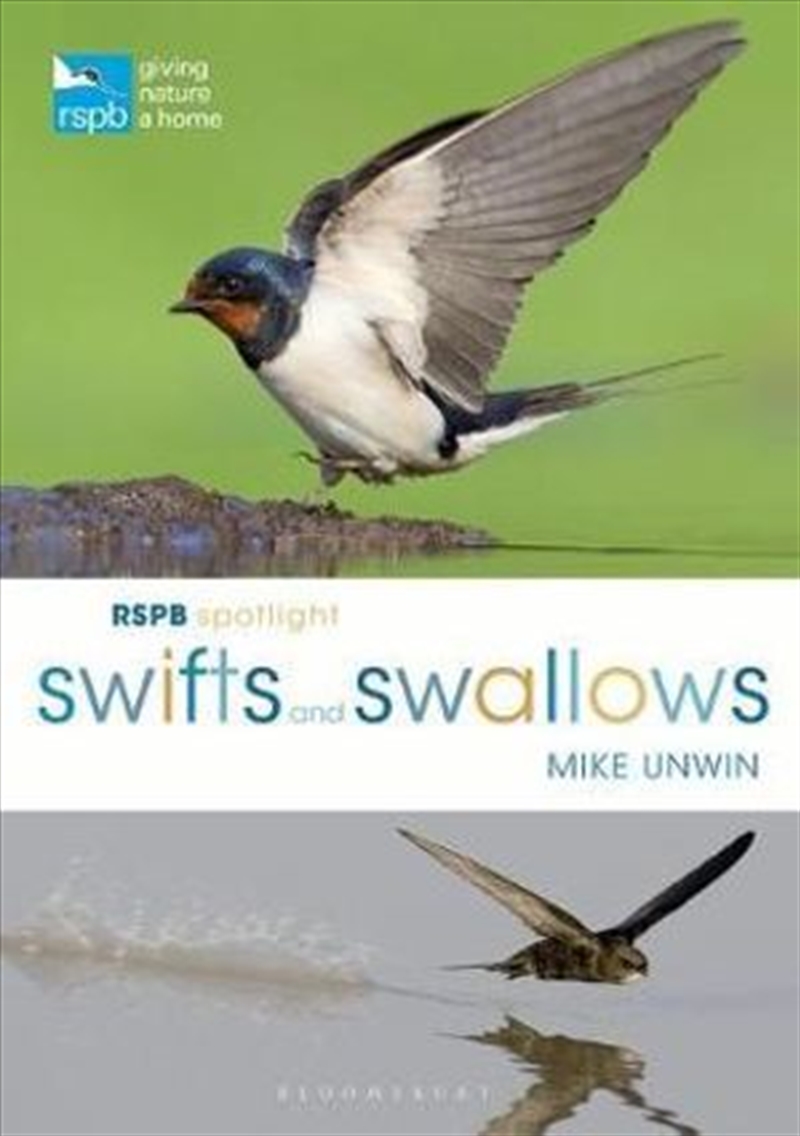 RSPB Spotlight Swifts and Swallows/Product Detail/Reading