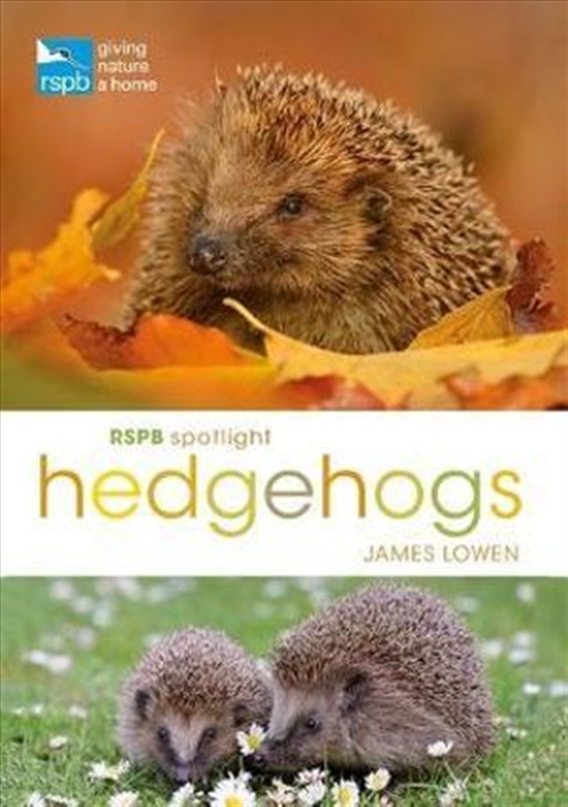 RSPB Spotlight Hedgehogs/Product Detail/Reading