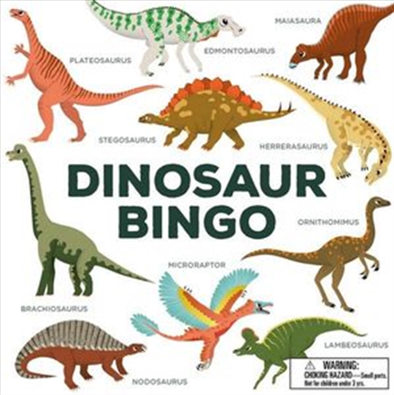 Dinosaur Bingo/Product Detail/Children