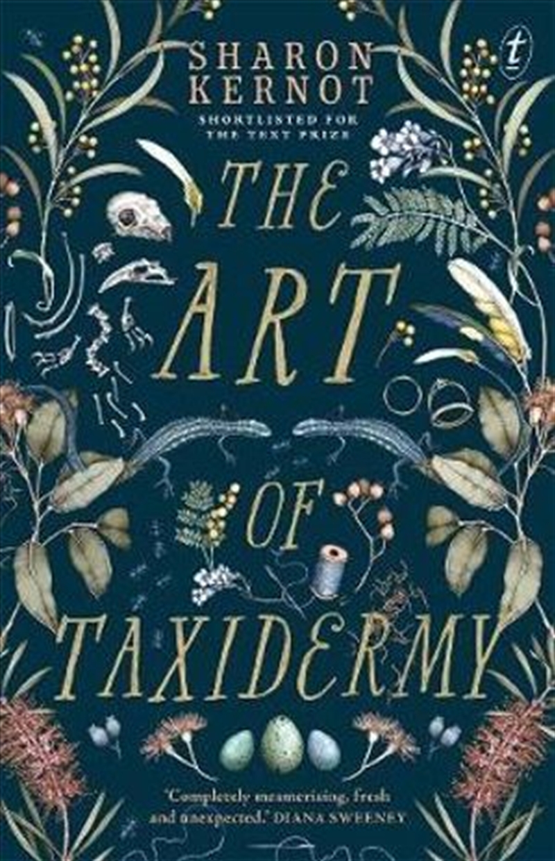 The Art of Taxidermy/Product Detail/Childrens Fiction Books