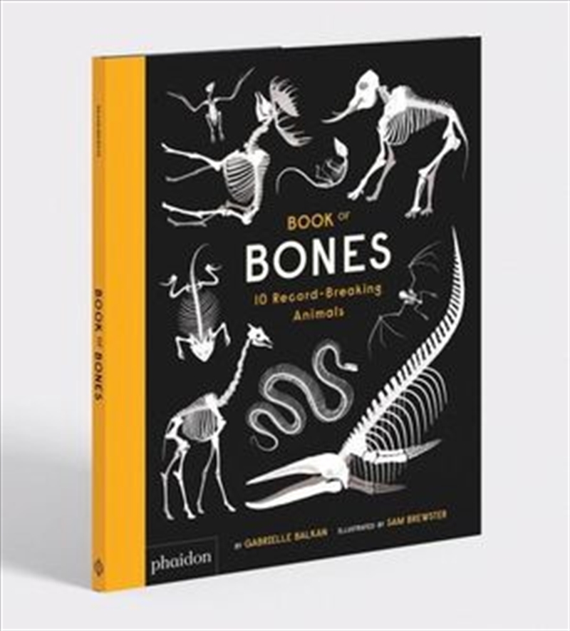 Book of Bones/Product Detail/Children