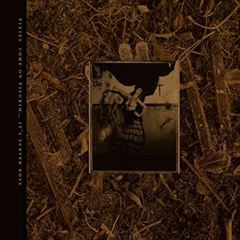 Come On Pilgrim - It's Surfer Rosa - Limited Deluxe Edition/Product Detail/Alternative