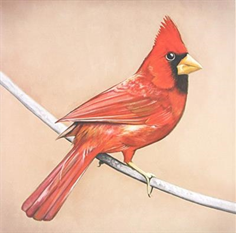 Old Crows/Young Cardinals/Product Detail/Hard Rock