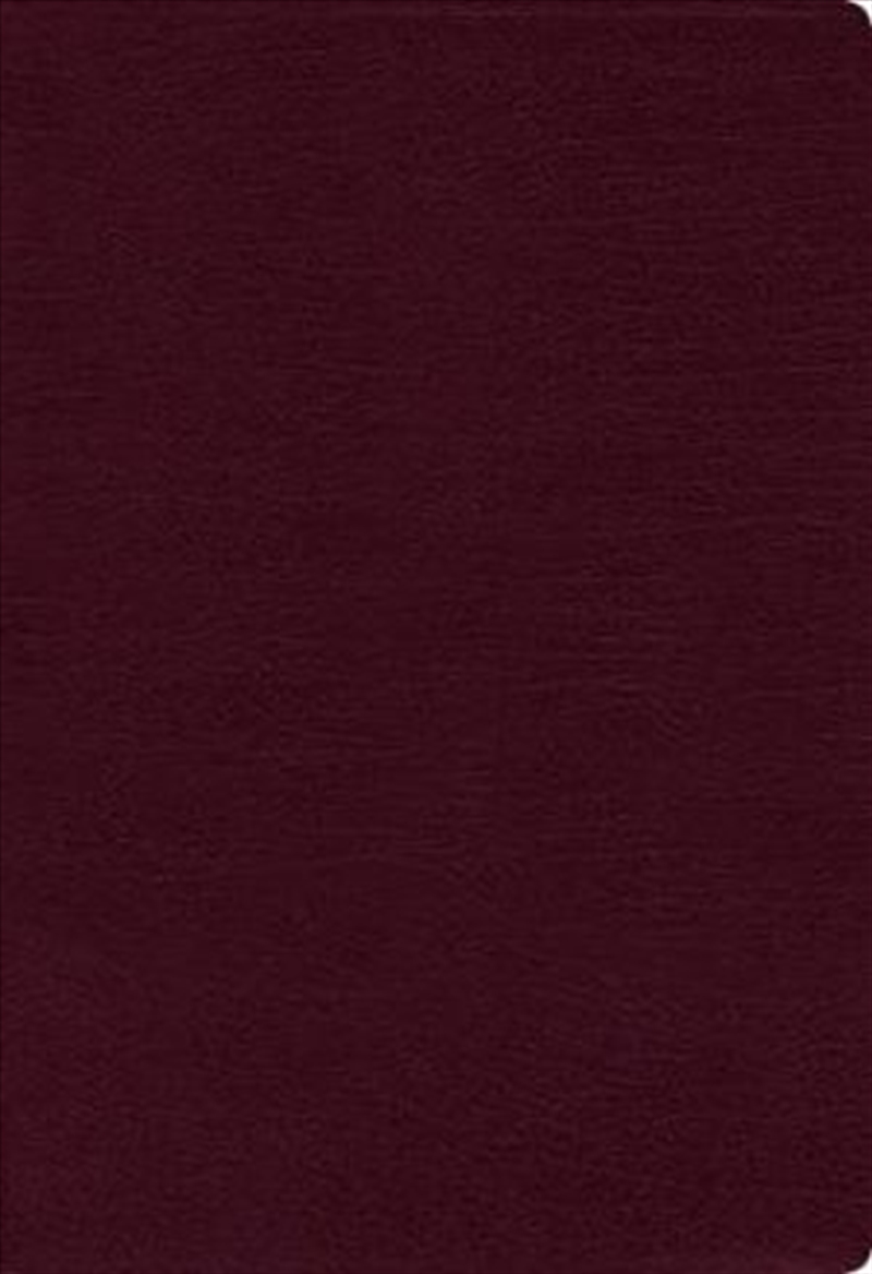 NIV Thinline Bible Red Letter Edition [Burgundy]/Product Detail/Religion & Beliefs