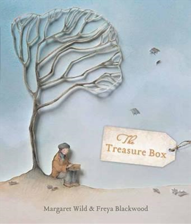 The Treasure Box/Product Detail/Childrens Fiction Books