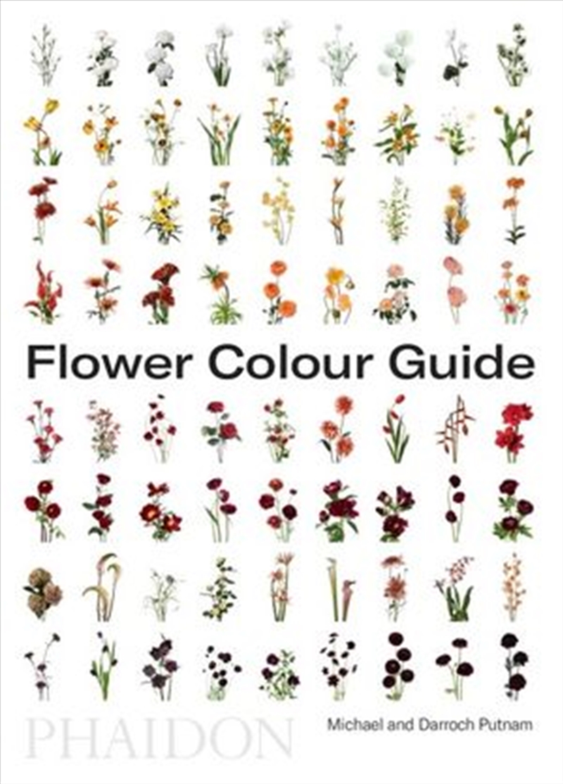 Flower Colour Guide/Product Detail/Arts & Entertainment