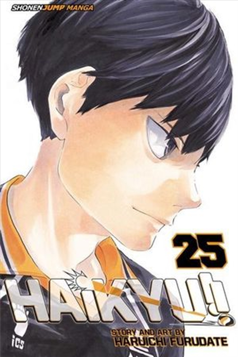 Haikyu!!, Vol. 25/Product Detail/Manga