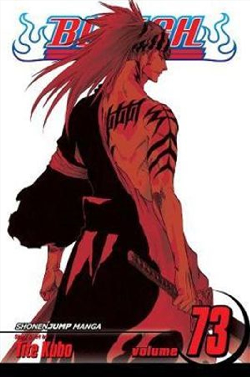 Bleach, Vol. 73/Product Detail/Manga