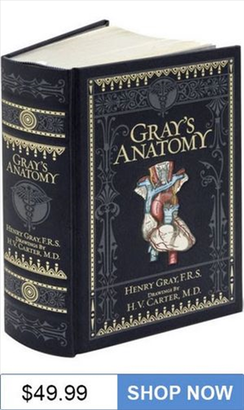 Buy Gray's Anatomy by Henry Gray, Books | Sanity