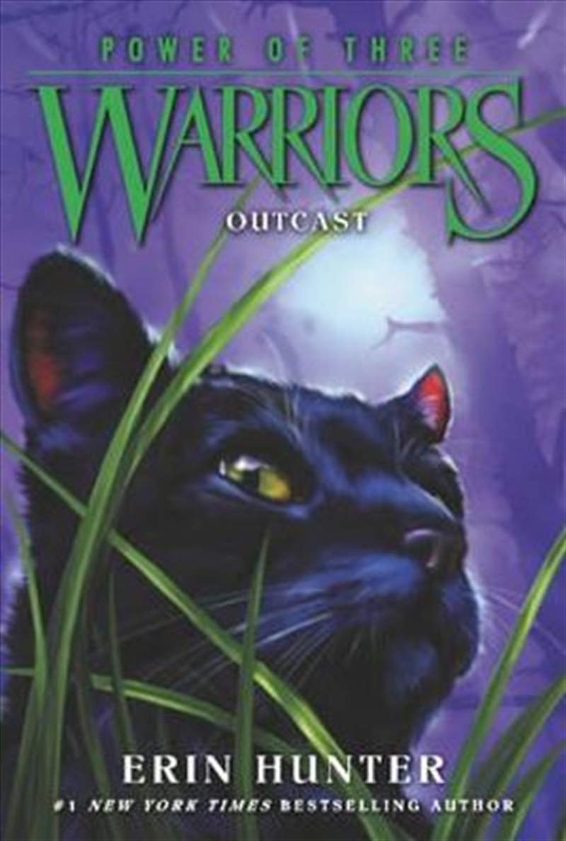 Warriors: Power Of Three 3: Outcast/Product Detail/General Fiction Books