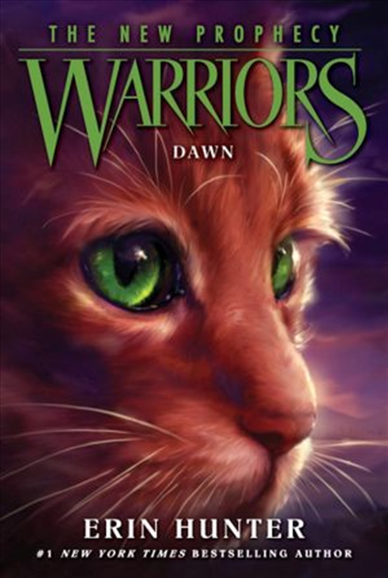 Warriors: The New Prophecy No 3 - Dawn/Product Detail/General Fiction Books