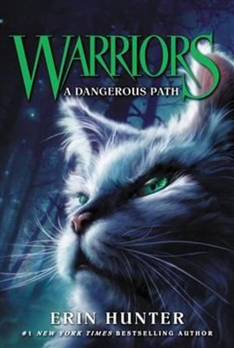 Warriors 5: A Dangerous Path/Product Detail/General Fiction Books