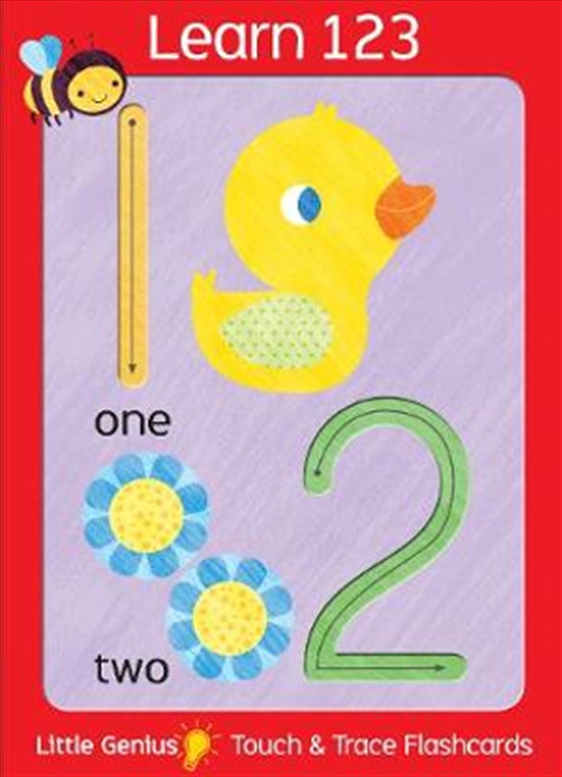 Little Genius Giant Flash Cards - 123/Product Detail/Childrens