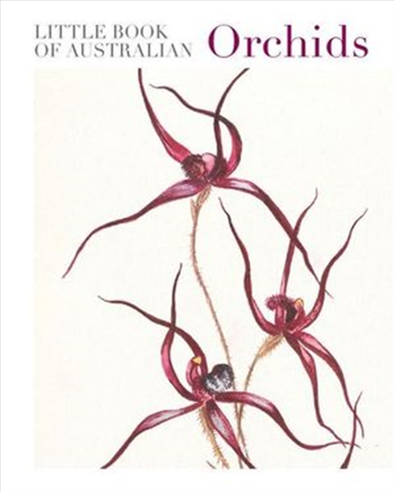 Little Book Of Australian Orchids/Product Detail/Animals & Nature