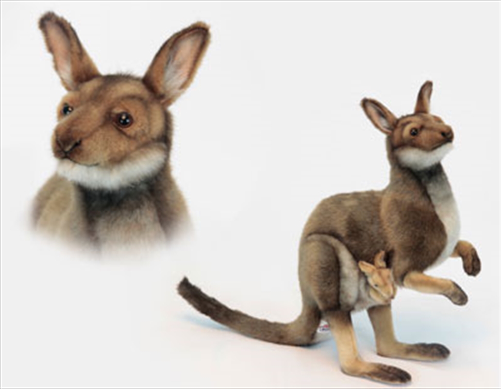 Kangaroo Eastern Gray 55cm L/Product Detail/Plush Toys