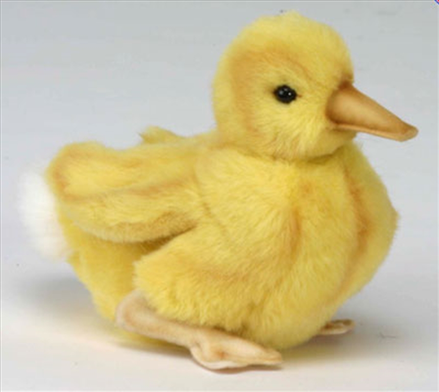 Duckling White Tailed 20cm L/Product Detail/Plush Toys