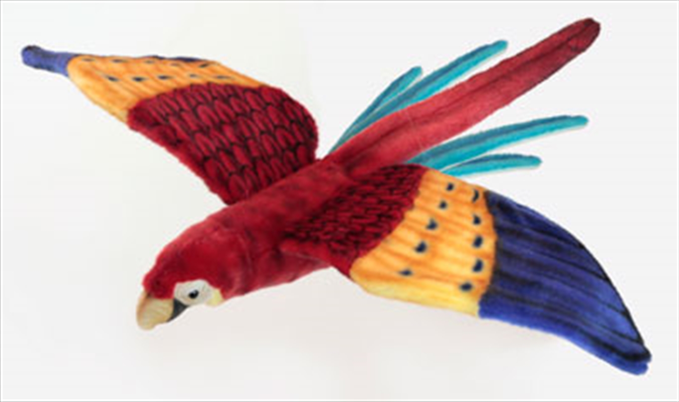 Scarlet Macaw Flying 76cm W/Product Detail/Plush Toys