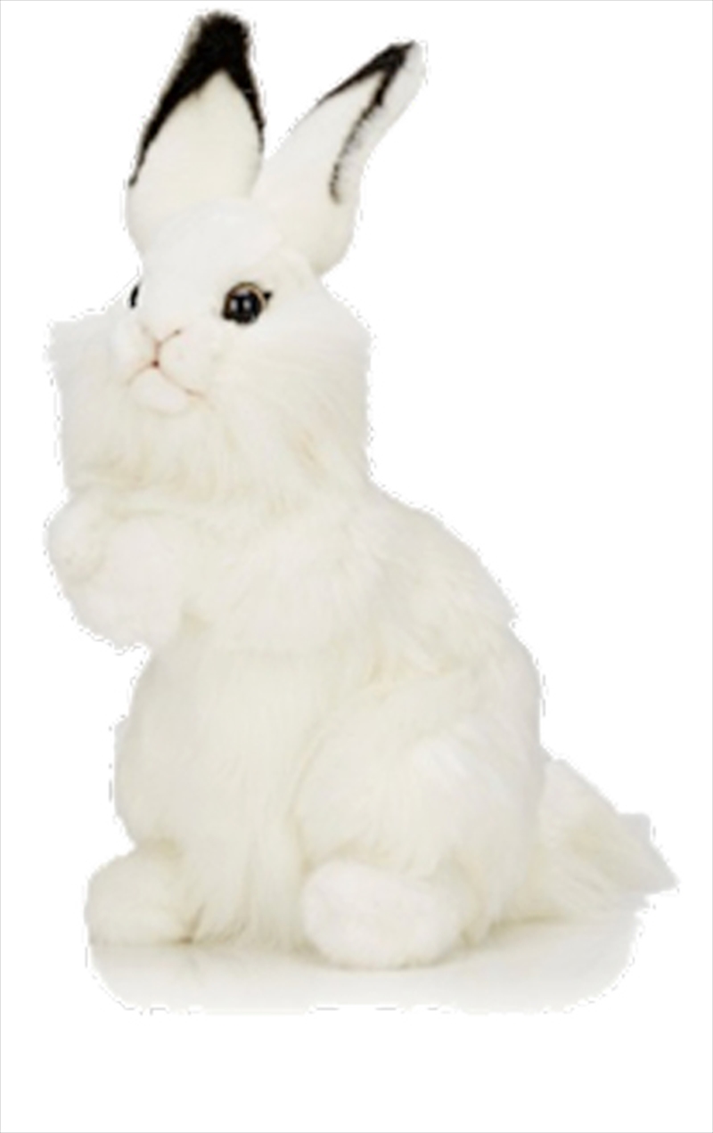 White Rabbit 32cm H/Product Detail/Plush Toys