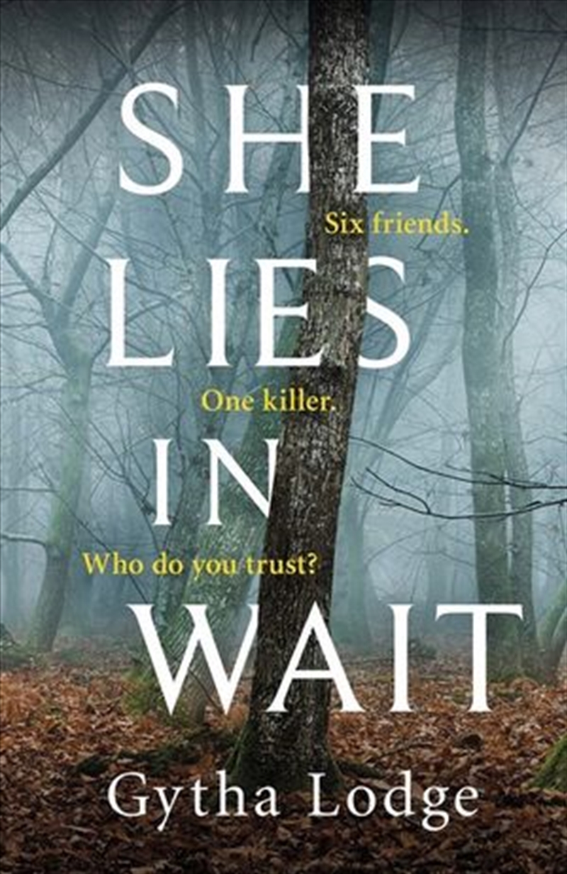 She Lies in Wait/Product Detail/Thrillers & Horror Books