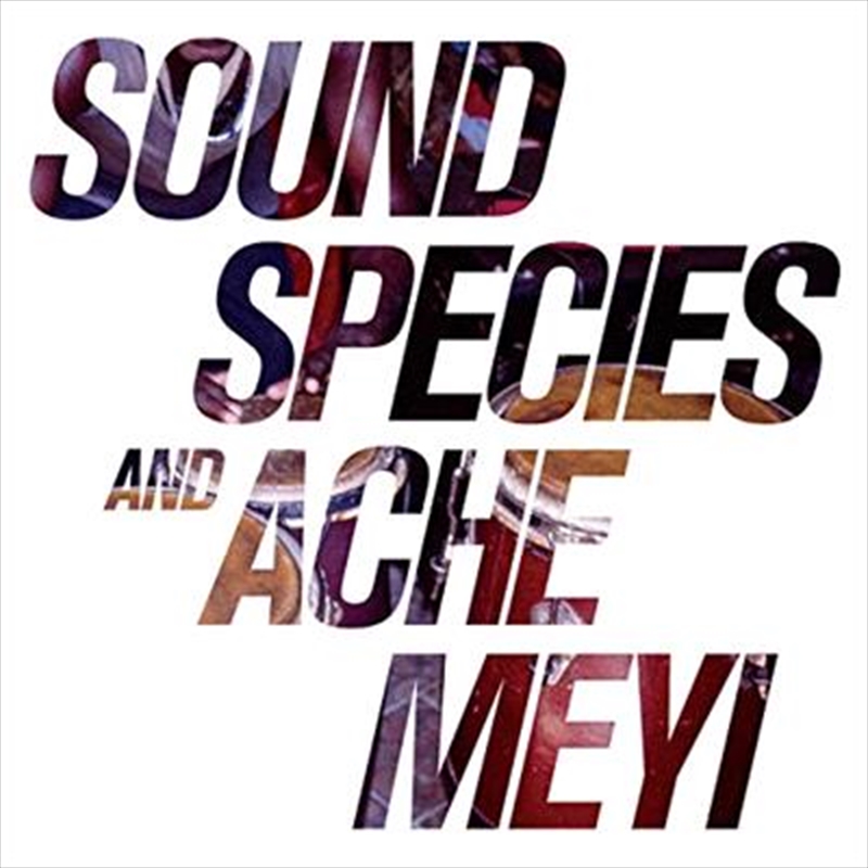 Soundspecies And Ache Meyi/Product Detail/Dance